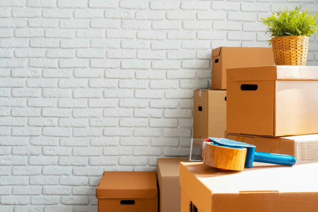 Cardboard boxes are piled on top of one another with a roll of tape and a plant