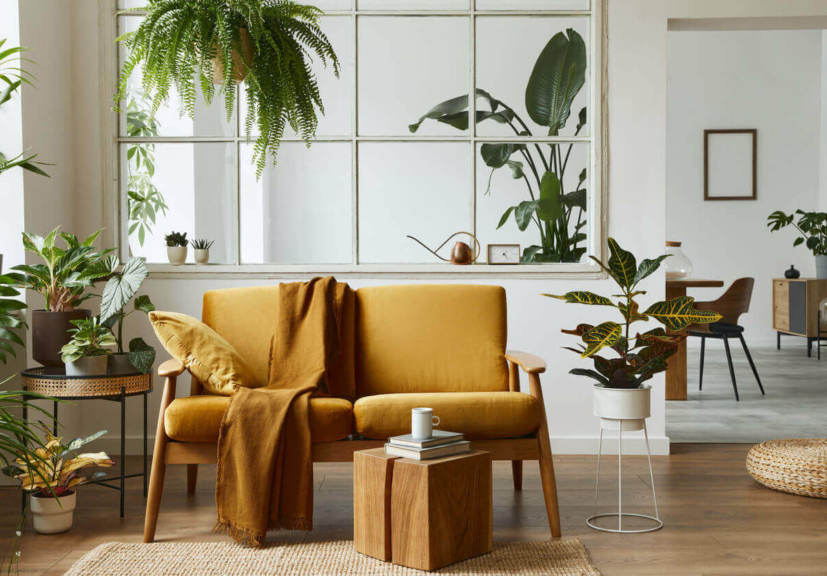 Modern Living Room with Couch and Plants.