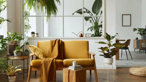 Modern Living Room with Couch and Plants.