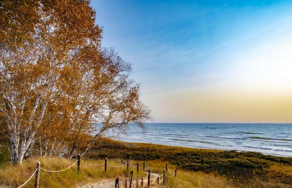 Sunrise over Lake Michigan a tree and walkway.