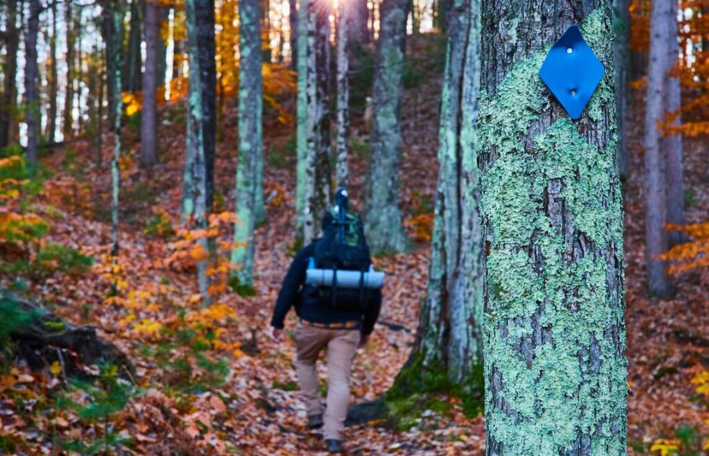 A person hiking through a leaf-covered trail in Michigan.