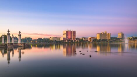 An aerial view of Lakeland, FL, with waterfowl in the foreground and the city skyline in the background.