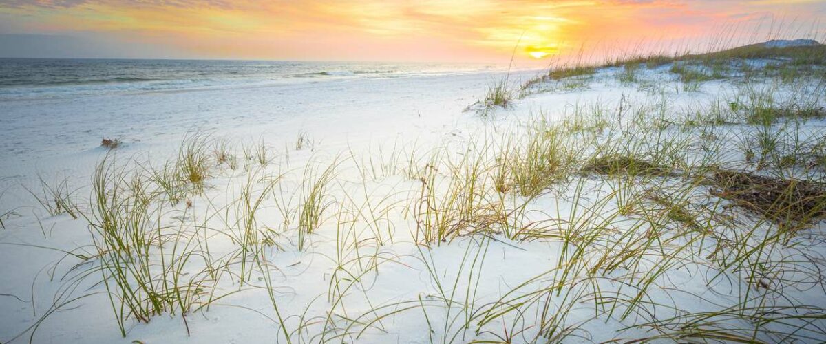 A peaceful view of the ocean at the Gulf Islands National Seashore.